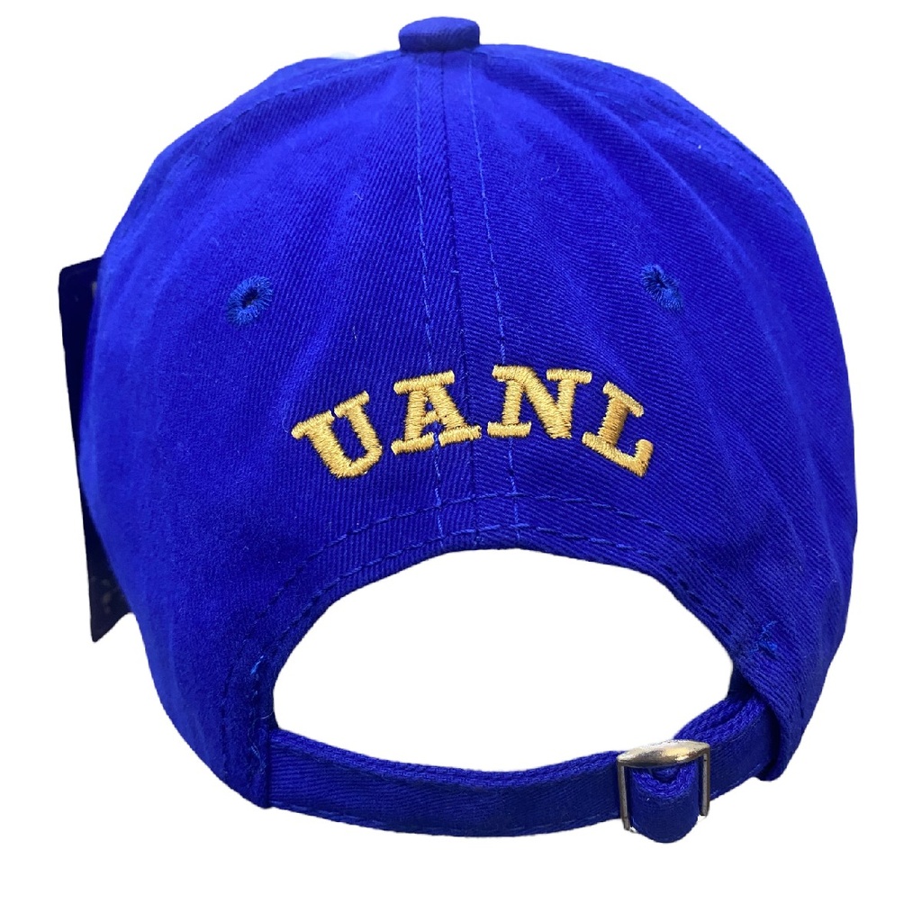 Gorra AUTÉNTICOS TIGRES  rostro de tigre en colores originales en 3D