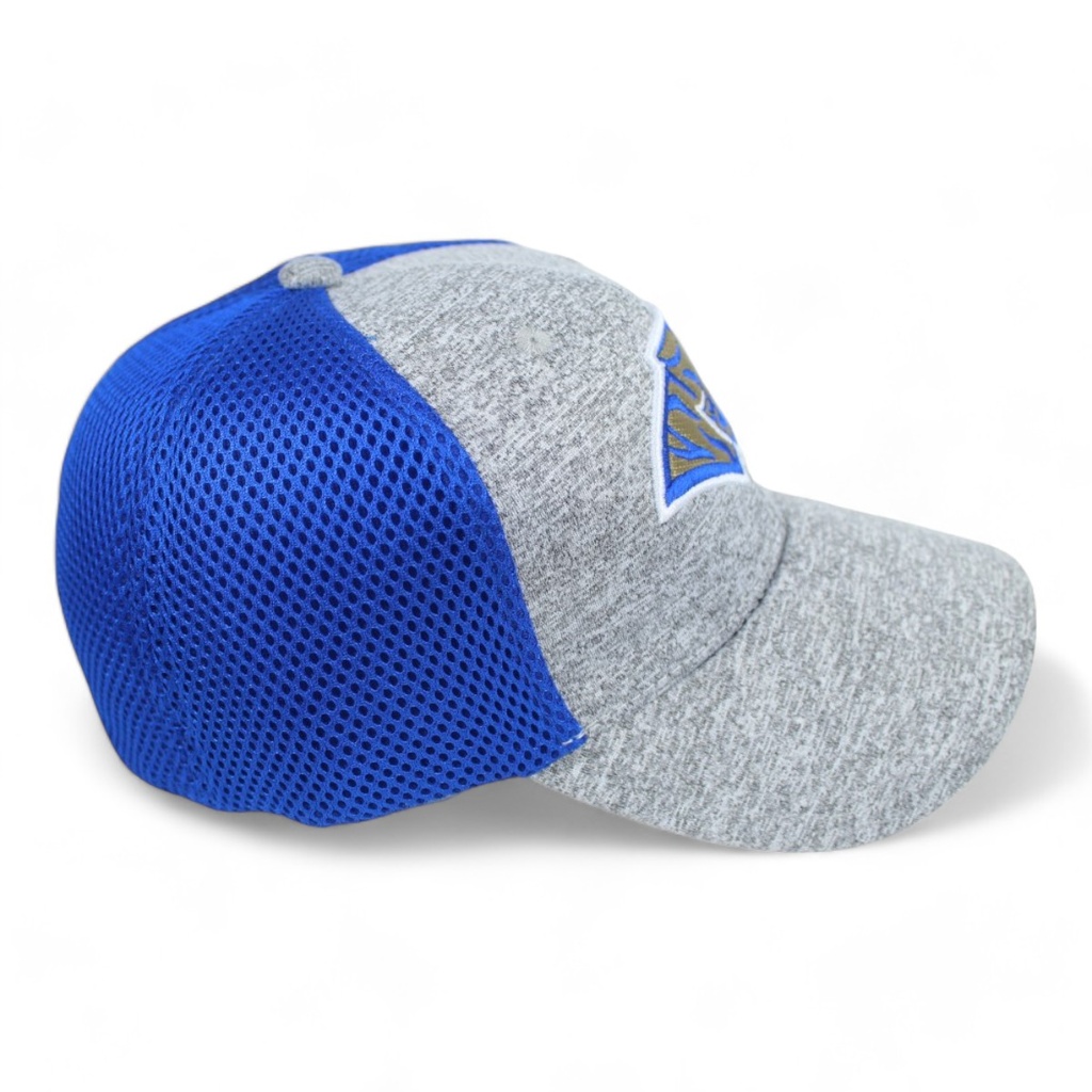 Gorra AUTÉNTICOS TIGRES  rostro de tigre en colores originales en 3D