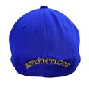 Gorra AUTÉNTICOS TIGRES  rostro de tigre en colores originales en 3D