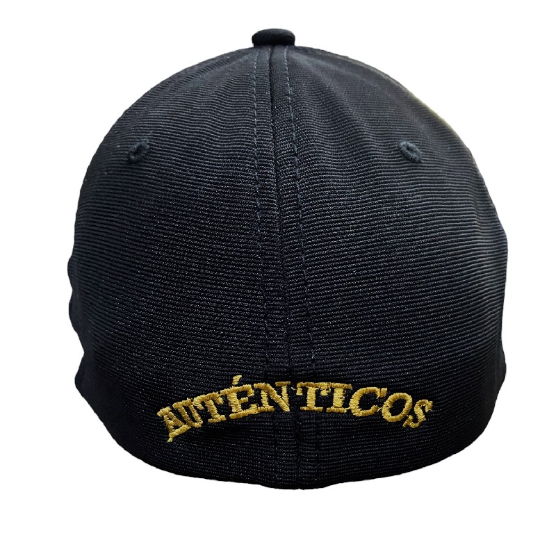 Gorra AUTÉNTICOS TIGRES  rostro de tigre en colores originales en 3D