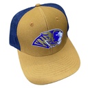 Gorra AUTÉNTICOS TIGRES con emblema PERSONALIZADA