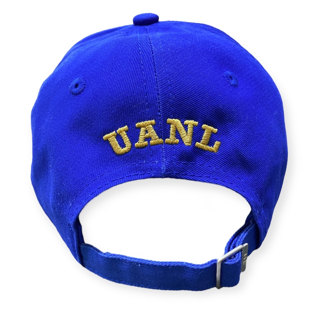 Gorra AUTÉNTICOS TIGRES  rostro de tigre en colores originales en 3D