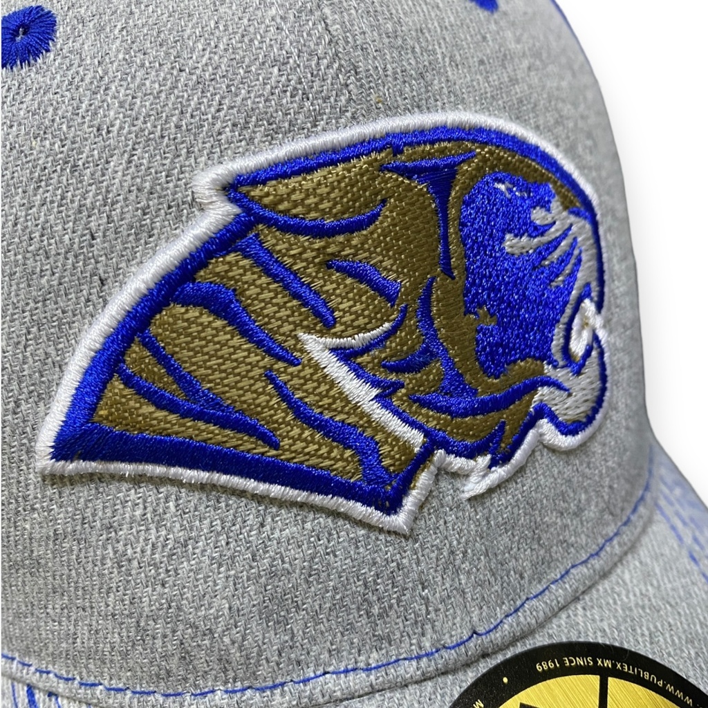 Gorra AUTÉNTICOS TIGRES  rostro de tigre en colores originales en 3D