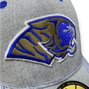 Gorra AUTÉNTICOS TIGRES  rostro de tigre en colores originales en 3D