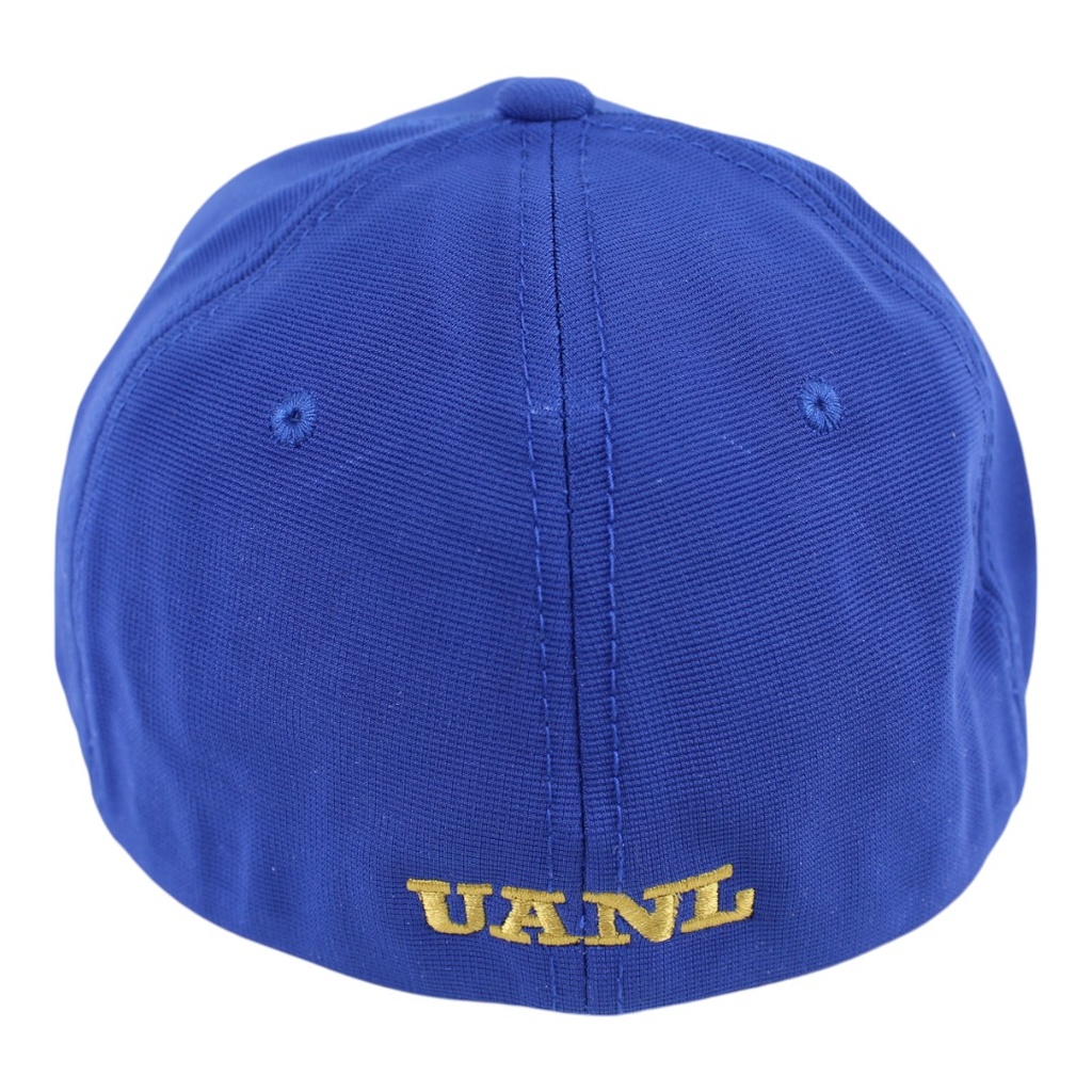 Gorra AUTENTICOS TIGRES con logo en 3D dorado