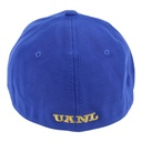 Gorra AUTENTICOS TIGRES con logo en 3D dorado