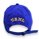 Gorra AUTENTICOS TIGRES con logo en 3D dorado