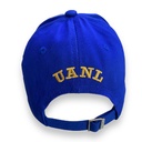 Gorra AUTENTICOS TIGRES con logo en 3D gris