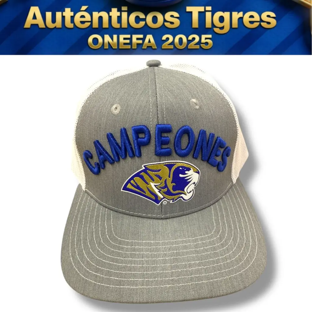 WhatsApp Image 2025-12-06 at 8.27.05 PM (12).webp