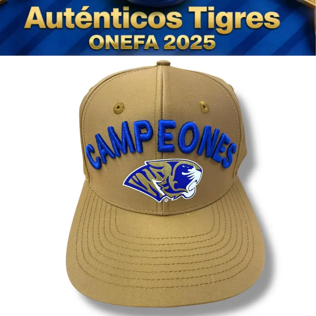 WhatsApp Image 2025-12-06 at 8.27.05 PM (3).webp