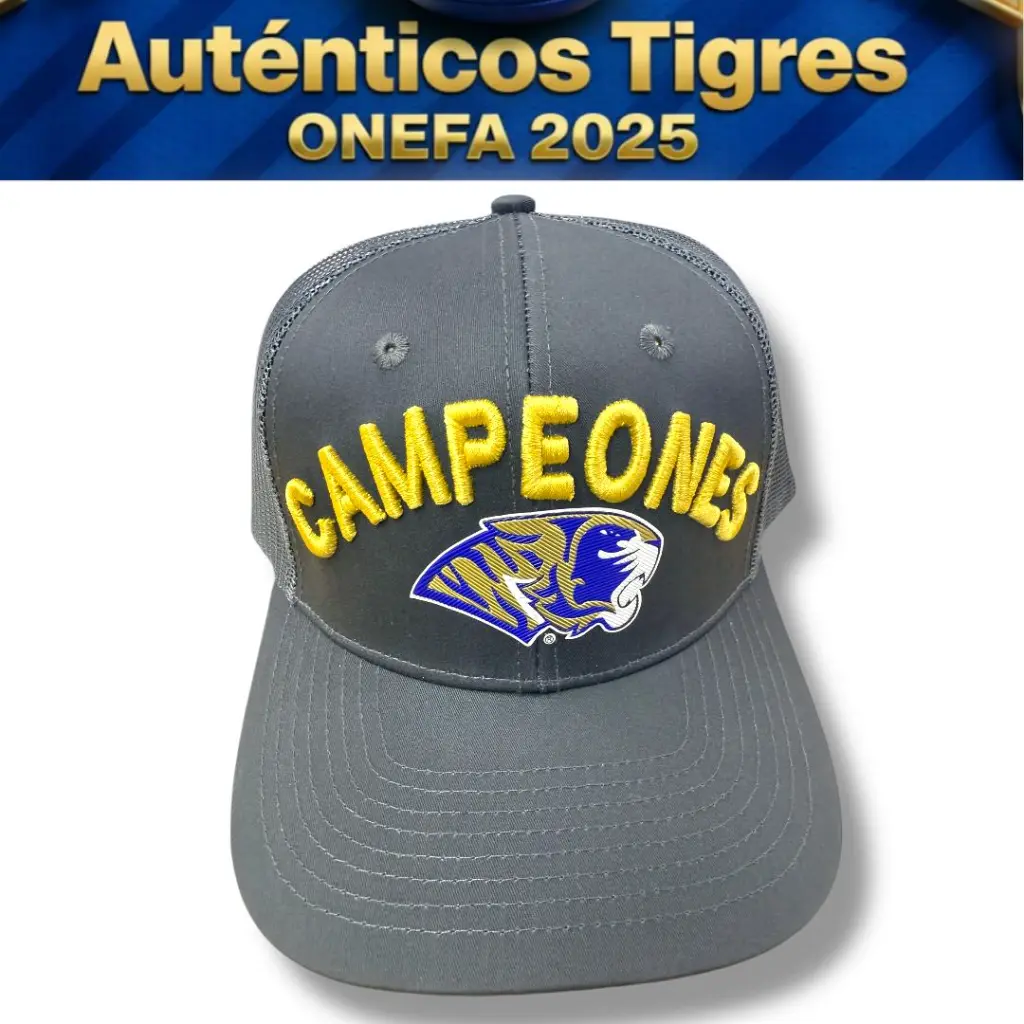 WhatsApp Image 2025-12-06 at 8.27.05 PM (6).webp