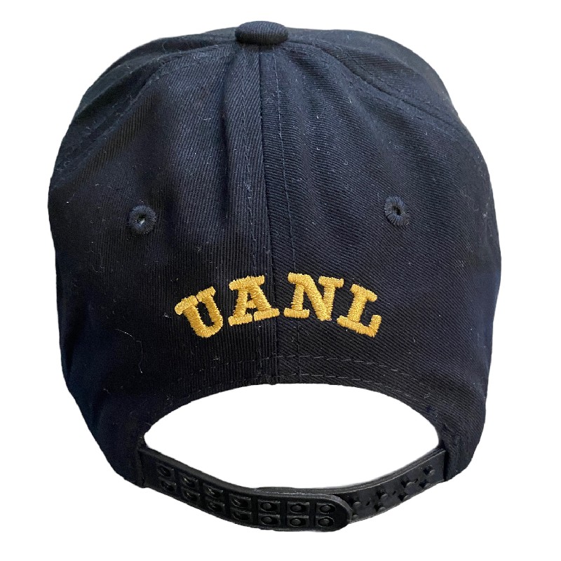 Gorra AUTENTICOS TIGRES con logo sencillo resaltado en 3D en negro