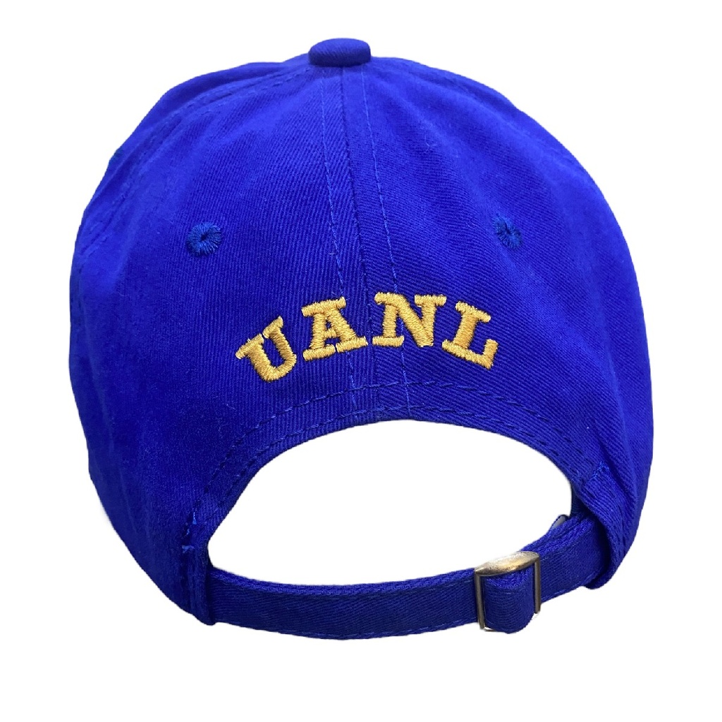 Gorra AUTÉNTICOS TIGRES  rostro de tigre en colores originales en 3D