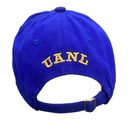 Gorra AUTÉNTICOS TIGRES  rostro de tigre en colores originales en 3D