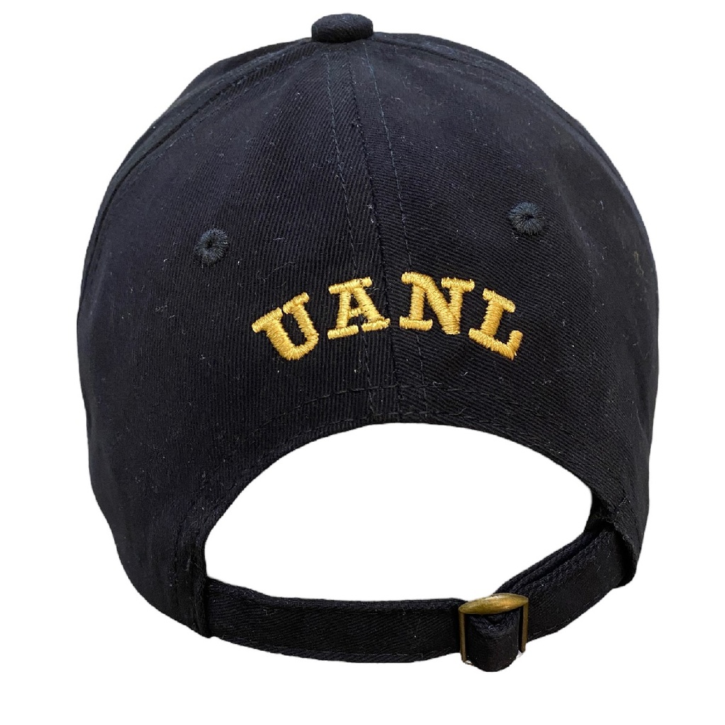 Gorra AUTÉNTICOS TIGRES  rostro de tigre en colores originales en 3D