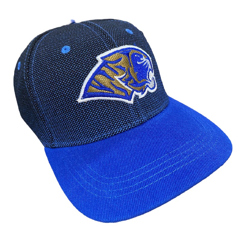Gorra Auténticos Tigres logotipo en 3D
