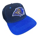 Gorra Auténticos Tigres logotipo en 3D