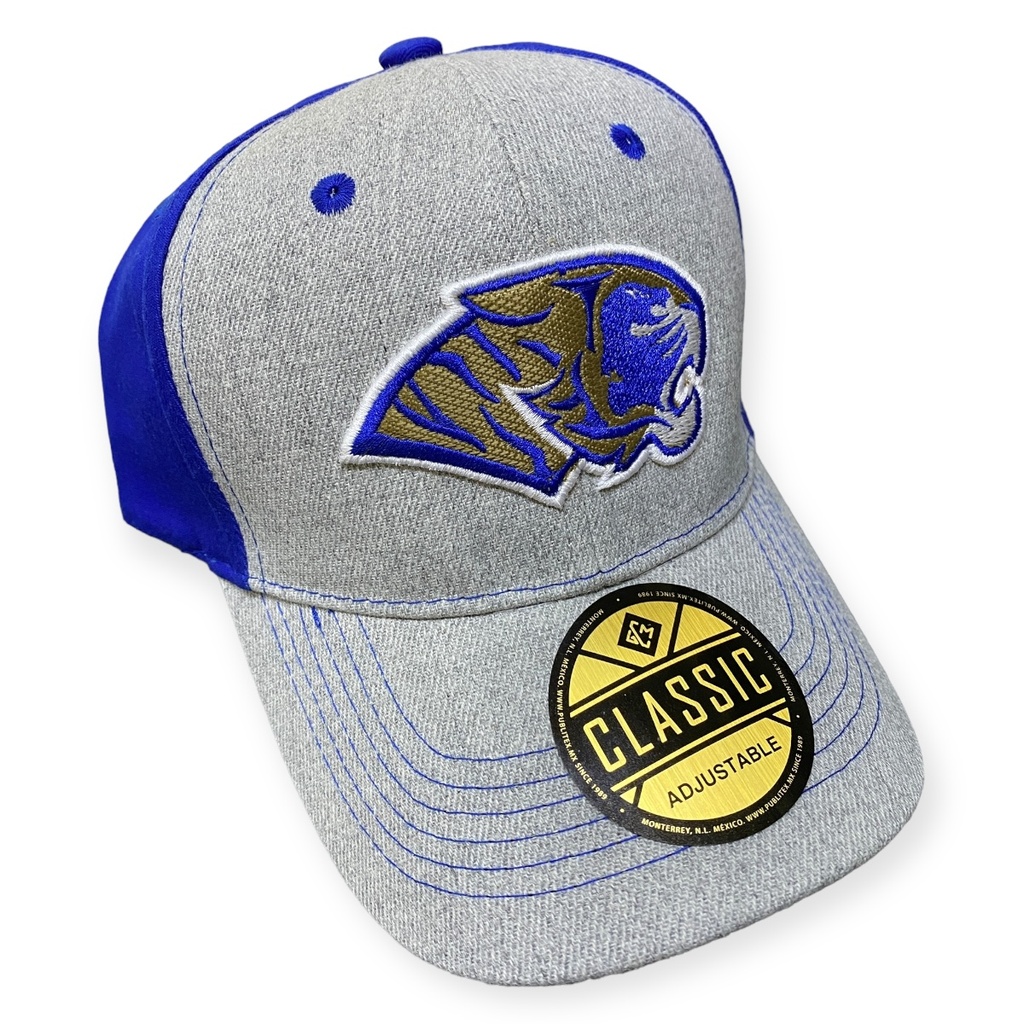 [TAG2304-008/GAR] Gorra AUTÉNTICOS TIGRES  rostro de tigre en colores originales en 3D