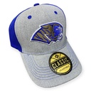 Gorra AUTÉNTICOS TIGRES  rostro de tigre en colores originales en 3D