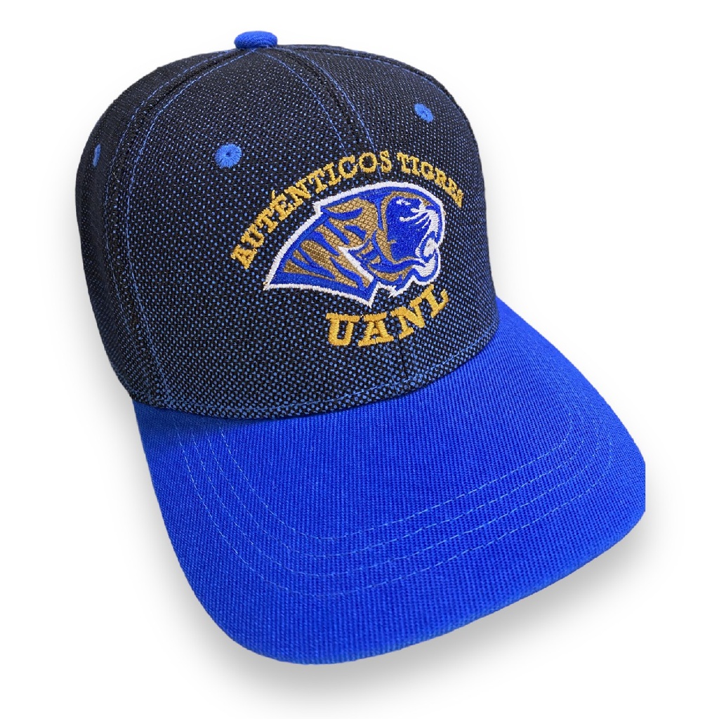 [TAG2302-005/NAR] Gorra AUTÉNTICOS TIGRES logotipo colores originales 