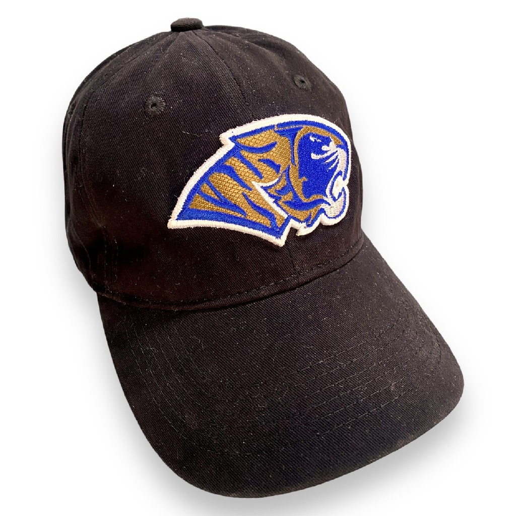 Gorra AUTÉNTICOS TIGRES  rostro de tigre en colores originales en 3D