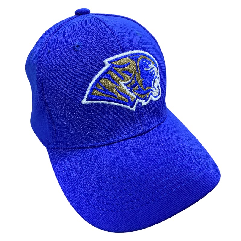 Gorra AUTÉNTICOS TIGRES  rostro de tigre en colores originales en 3D