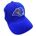 Gorra AUTÉNTICOS TIGRES  rostro de tigre en colores originales en 3D
