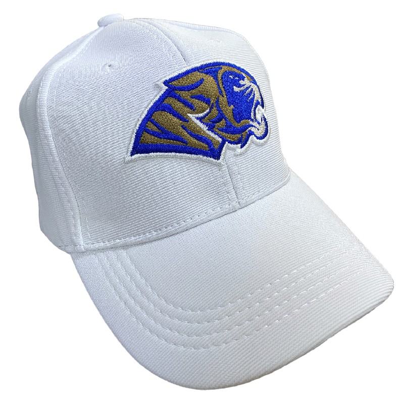Gorra AUTÉNTICOS TIGRES  rostro de tigre en colores originales en 3D
