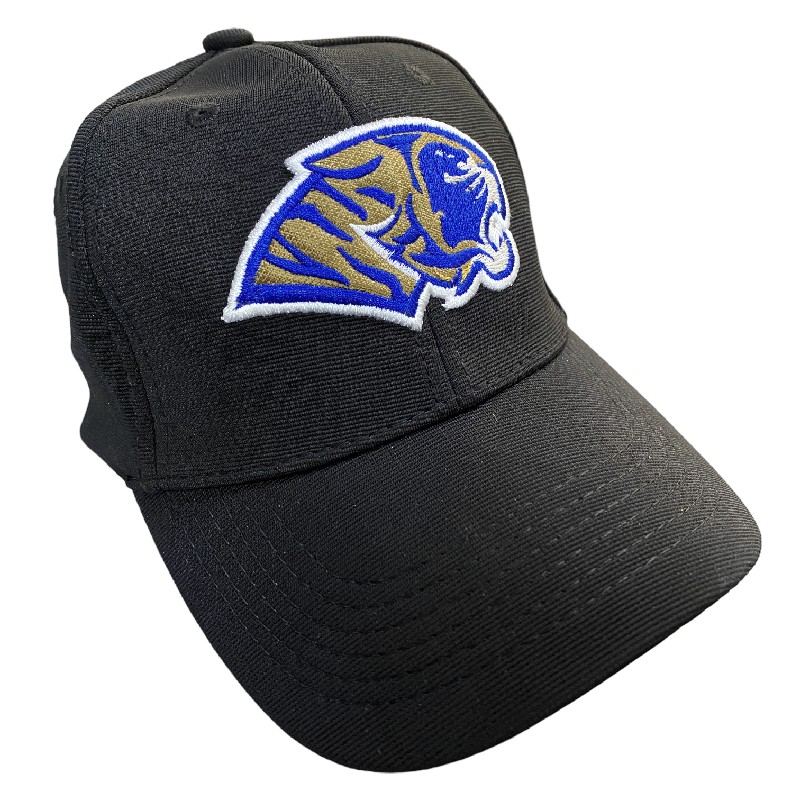 Gorra AUTÉNTICOS TIGRES  rostro de tigre en colores originales en 3D
