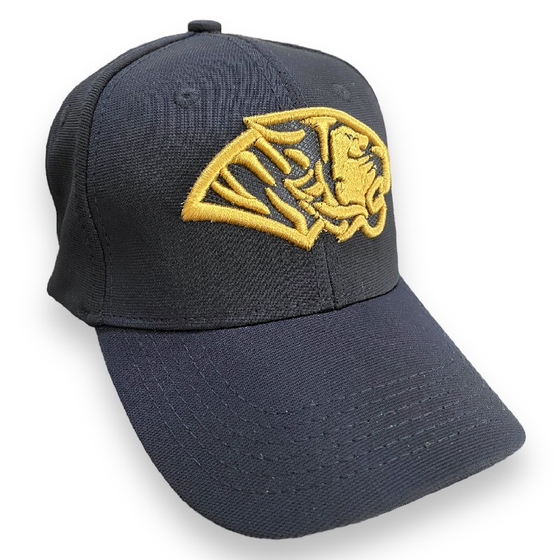 Gorra AUTENTICOS TIGRES con logo sencillo resaltado en 3D en dorado