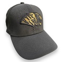 Gorra AUTENTICOS TIGRES con logo en 3D negro con fondo dorado