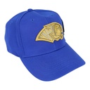Gorra AUTENTICOS TIGRES con logo en 3D dorado