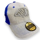 Gorra AUTENTICOS TIGRES con logo en 3D gris