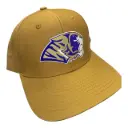 Gorra AUTÉNTICOS TIGRES edición limitada