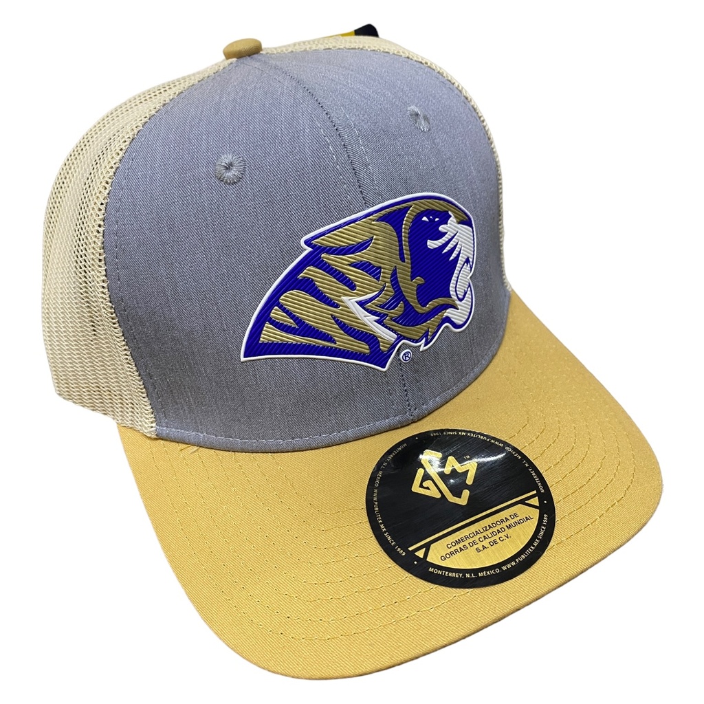 [TAG2352-IDN/DGS] Gorra AUTÉNTICOS TIGRES con emblema