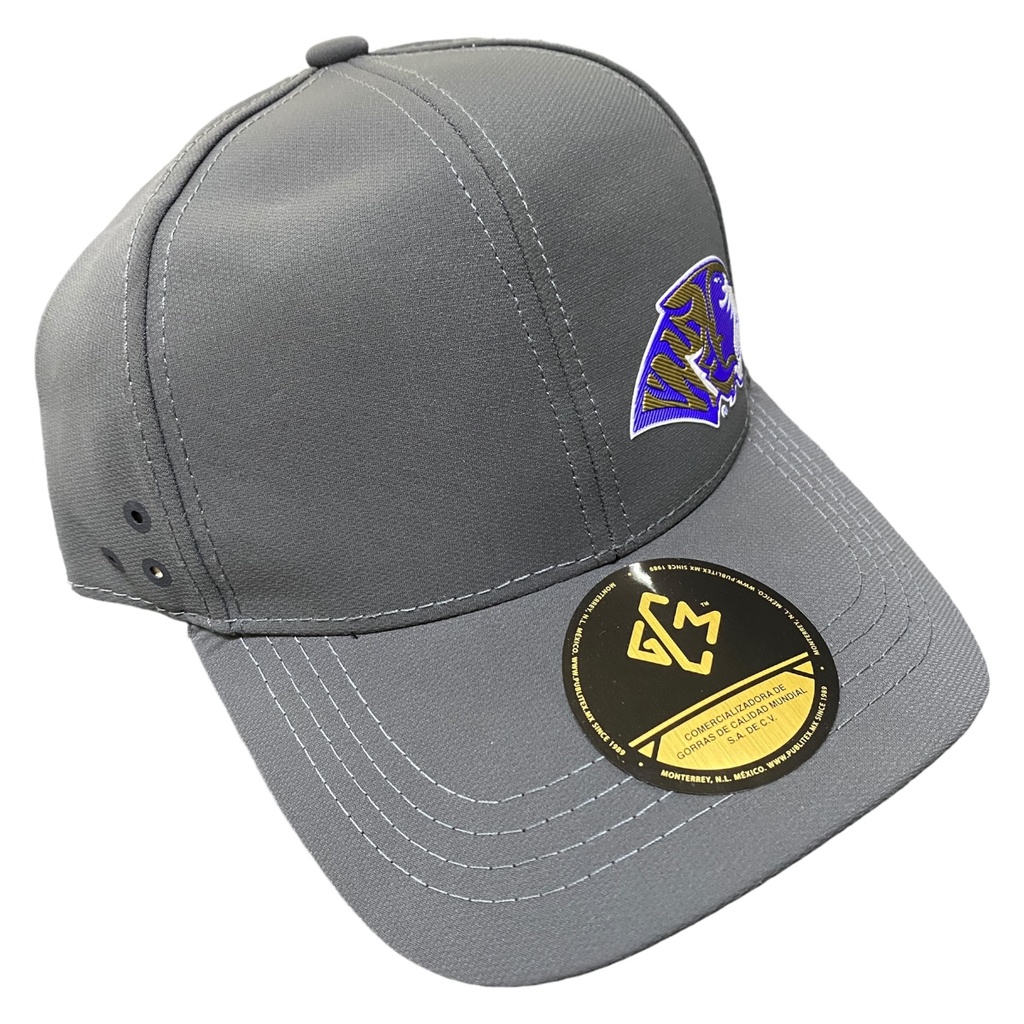 Gorra AUTÉNTICOS TIGRES con emblema en lateral