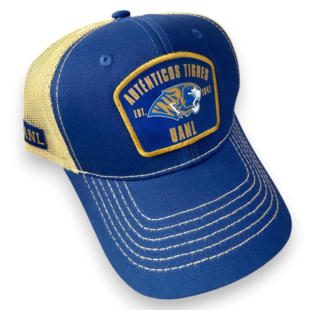 Gorra AUTENTICOS TIGRES parche al frente