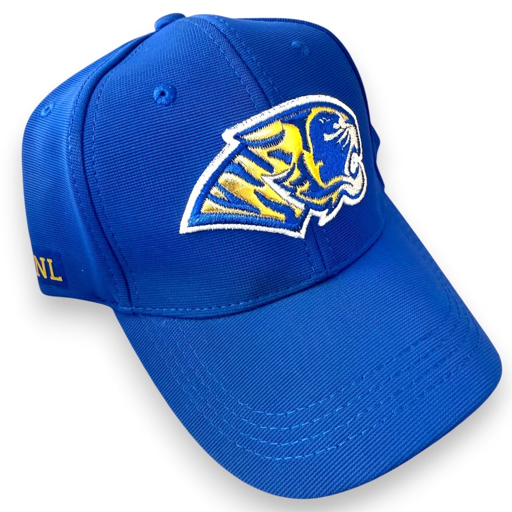 Gorra AUTENTICOS TIGRES bordado en dorado