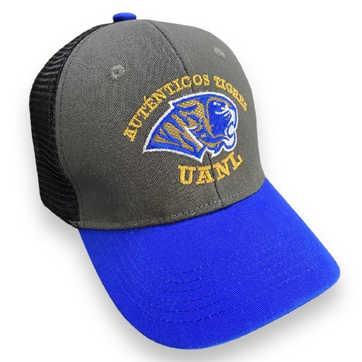[TAG2302-024/AR] Gorra Auténticos Tigres logotipo original
