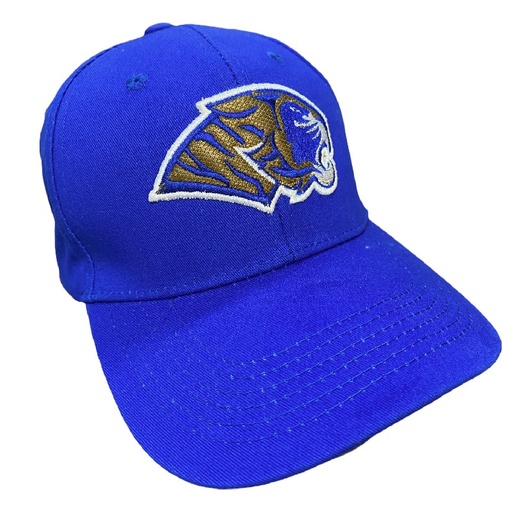 [TAG2304-021/AR] Gorra Auténticos Tigres logotipo en 3D