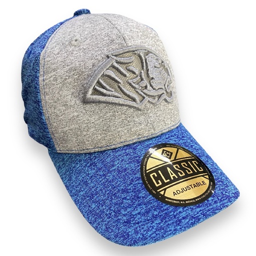 [TAG2309-004/GAR] Gorra AUTENTICOS TIGRES con logo en 3D gris